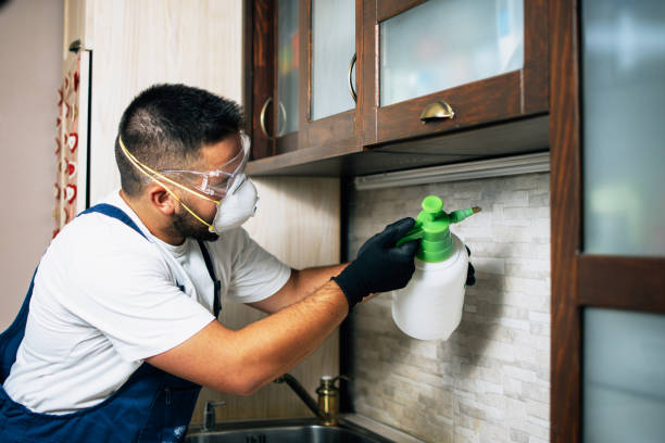Professional Pest Control in Lockhart, FL