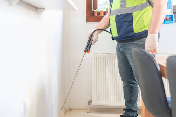 Best Wasp Removal Services  in Lockhart, FL